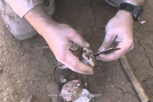 Make a fire using Flint Stone and Steel